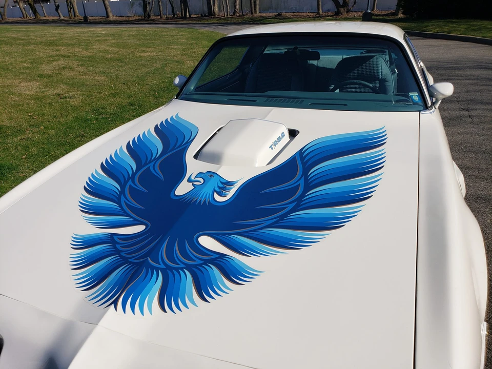 1979 Pontiac Firebird Trans Am 2nd Gen - Image 14 of 31