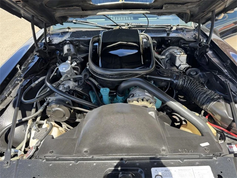 1979 Pontiac Firebird Trans Am 2nd Gen - Image 21 of 24