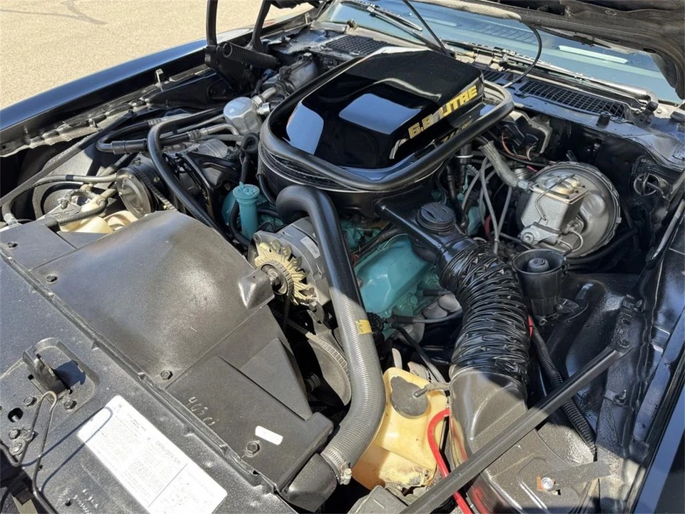 1979 Pontiac Firebird Trans Am 2nd Gen - Image 22 of 24