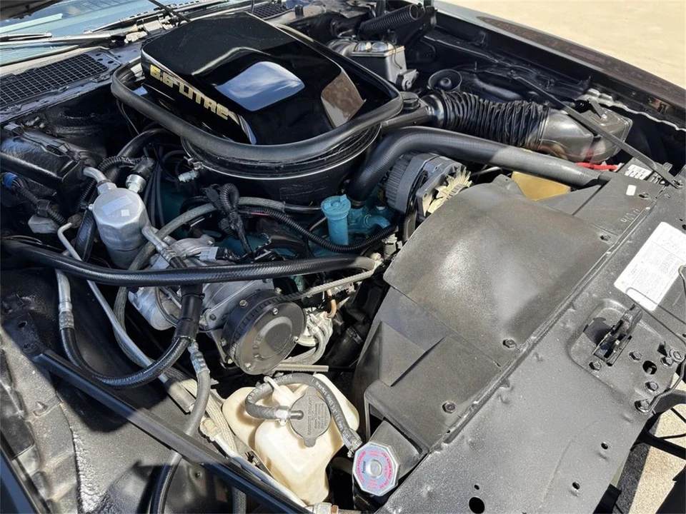 1979 Pontiac Firebird Trans Am 2nd Gen - Image 23 of 24