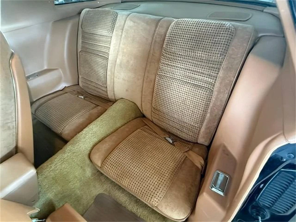 1979 Pontiac Firebird Trans Am 2nd Gen - Image 15 of 31