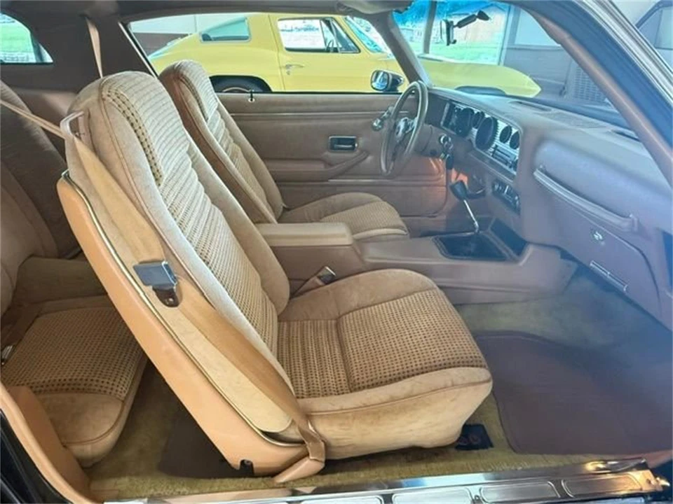 1979 Pontiac Firebird Trans Am 2nd Gen - Image 16 of 31
