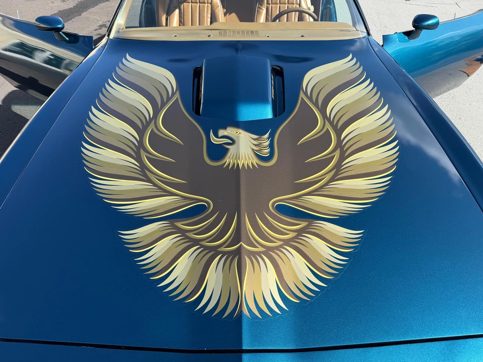 1979 Pontiac Firebird Trans Am 2nd Gen - Image 10 of 31