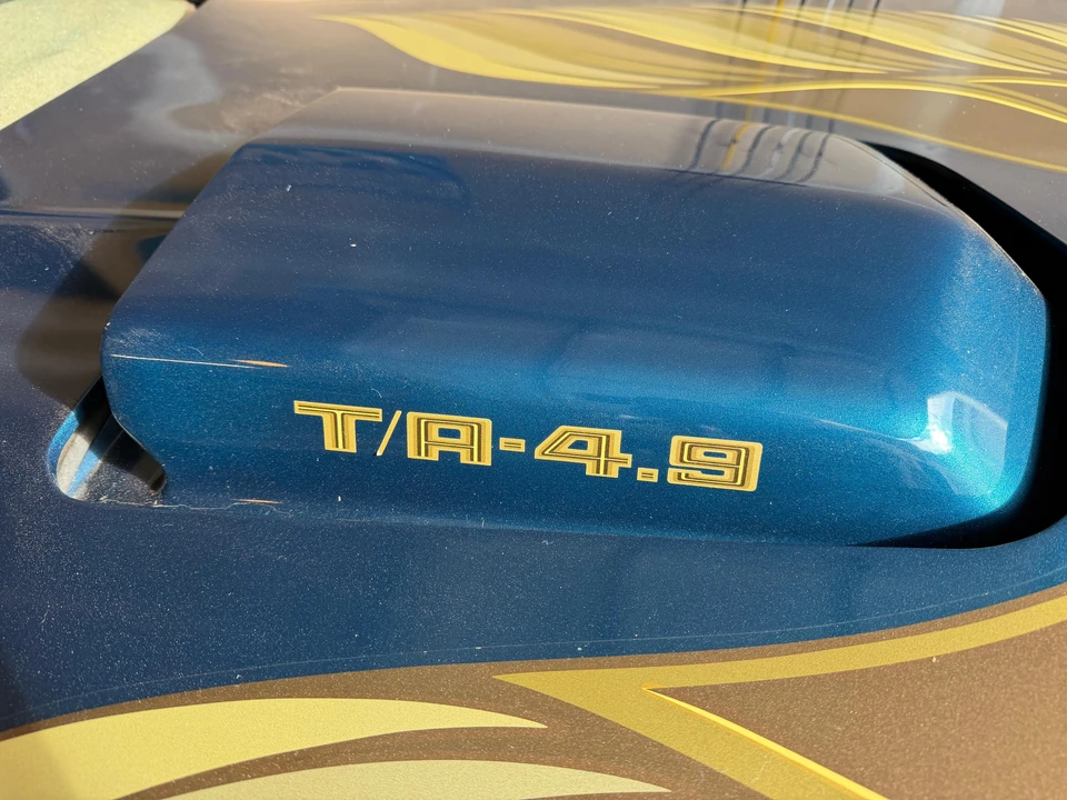1979 Pontiac Firebird Trans Am 2nd Gen - Image 18 of 31