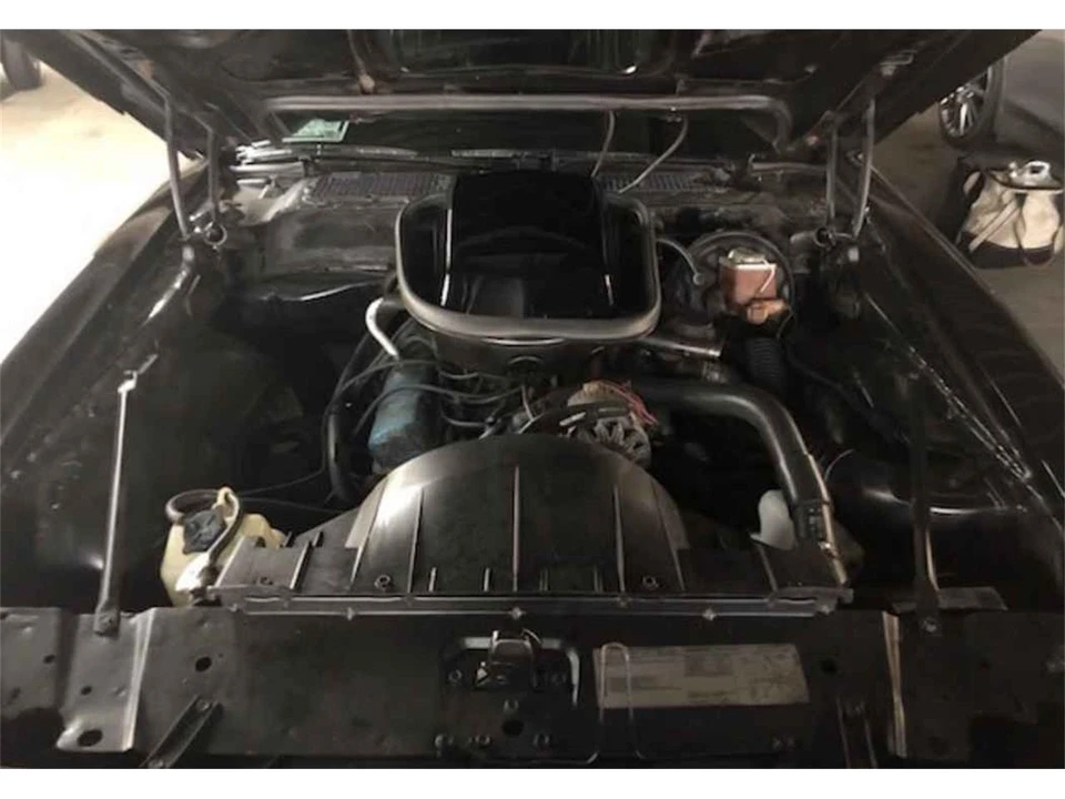 1979 Pontiac Firebird Trans Am 2nd Gen - Image 10 of 15