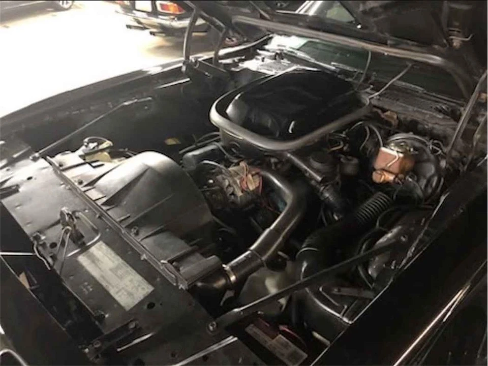 1979 Pontiac Firebird Trans Am 2nd Gen - Image 9 of 15