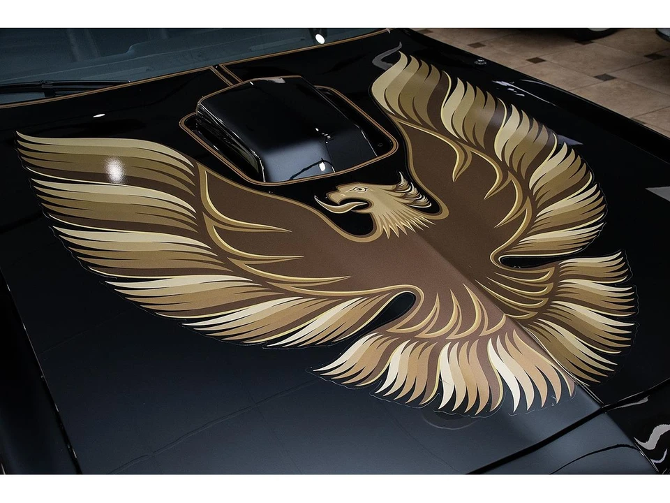 1979 Pontiac Firebird Trans Am 2nd Gen - Image 16 of 31
