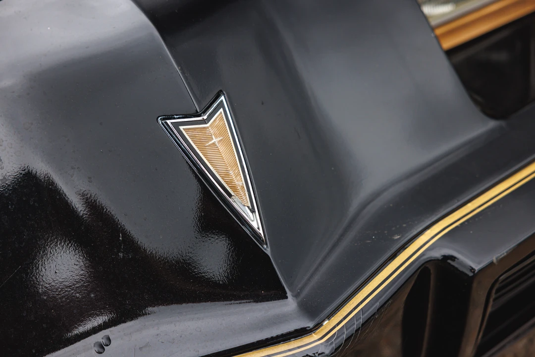 1979 Pontiac Firebird Trans Am 2nd Gen - Image 21 of 31