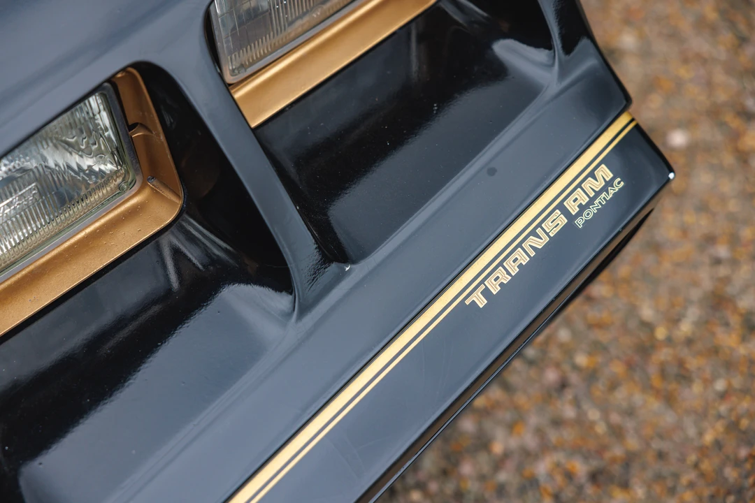 1979 Pontiac Firebird Trans Am 2nd Gen - Image 25 of 31