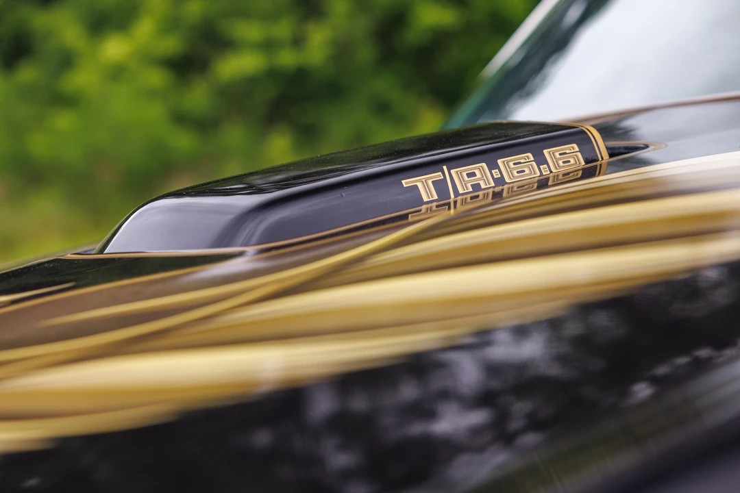 1979 Pontiac Firebird Trans Am 2nd Gen - Image 31 of 31