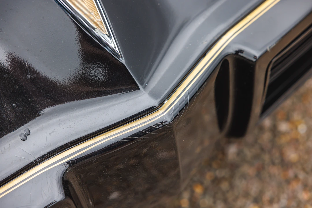 1979 Pontiac Firebird Trans Am 2nd Gen - Image 28 of 31