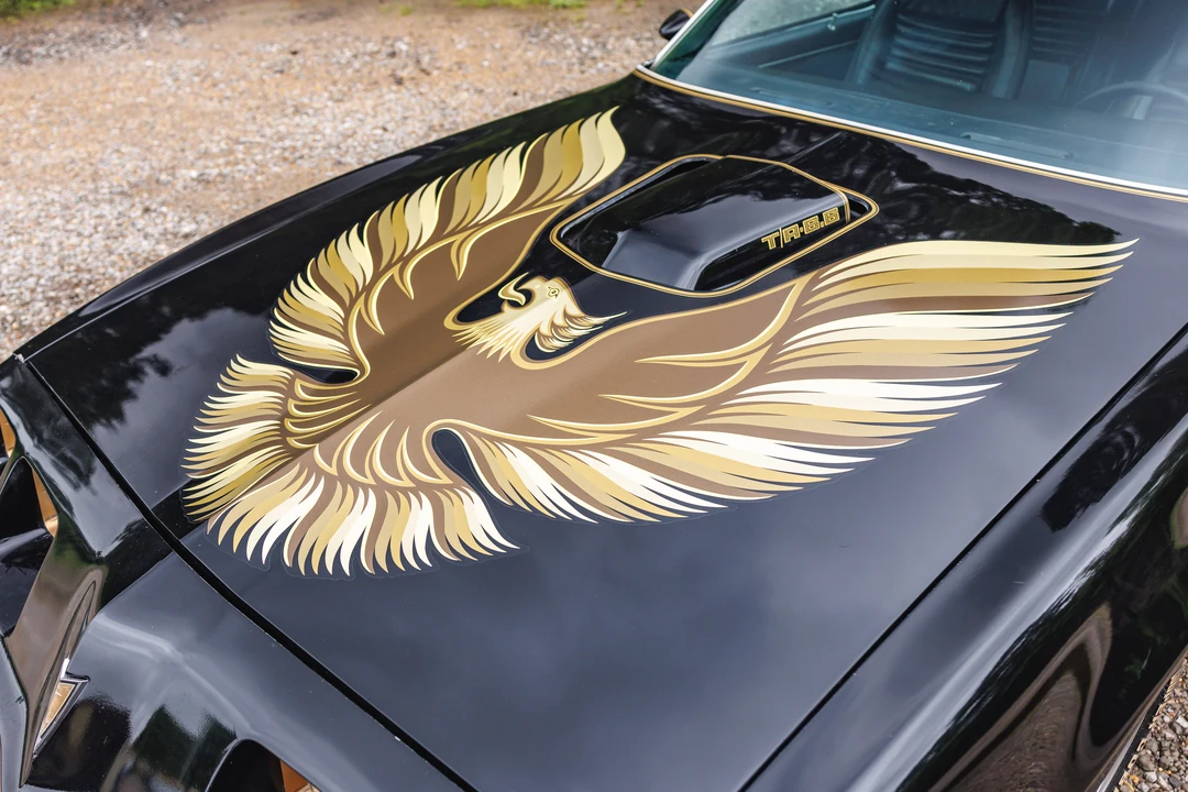 1979 Pontiac Firebird Trans Am 2nd Gen - Image 29 of 31
