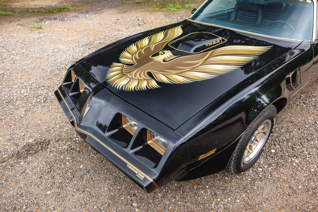 1979 Pontiac Firebird Trans Am 2nd Gen - Image 30 of 31