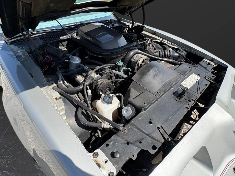 1979 Pontiac Firebird Trans Am 2nd Gen - Image 25 of 31