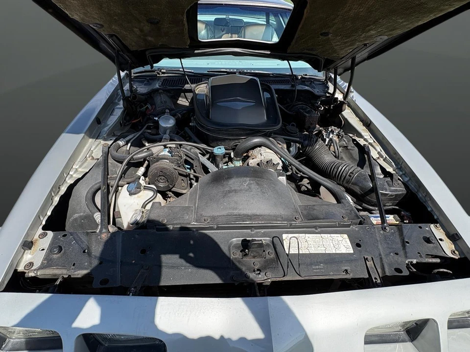 1979 Pontiac Firebird Trans Am 2nd Gen - Image 22 of 31