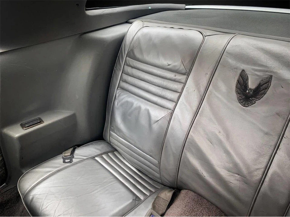 1979 Pontiac Firebird Trans Am 2nd Gen - Image 14 of 20