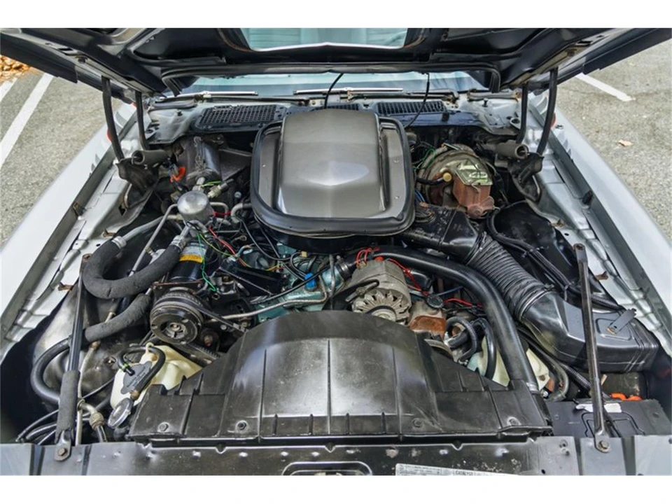 1979 Pontiac Firebird Trans Am 2nd Gen - Image 17 of 31