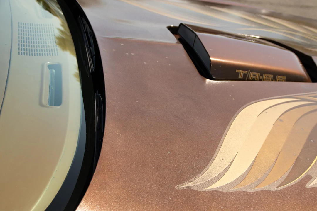 1979 Pontiac Firebird Trans Am 2nd Gen - Image 27 of 31