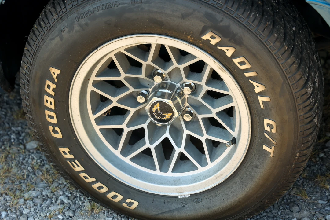 1979 Pontiac Firebird Trans Am 2nd Gen - Image 21 of 31