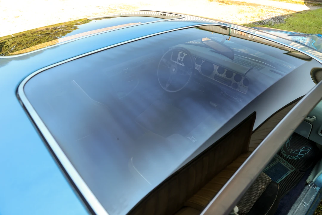 1979 Pontiac Firebird Trans Am 2nd Gen - Image 17 of 31