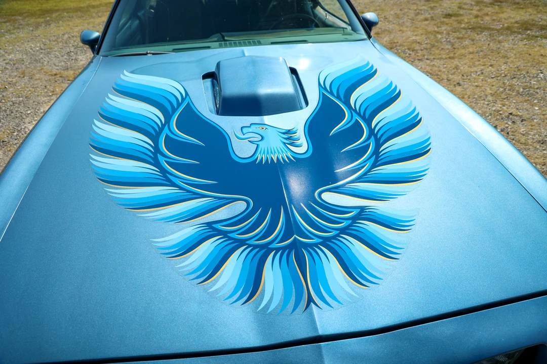 1979 Pontiac Firebird Trans Am 2nd Gen - Image 29 of 31