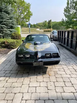 1979 Pontiac Firebird Trans Am Coupe 2D