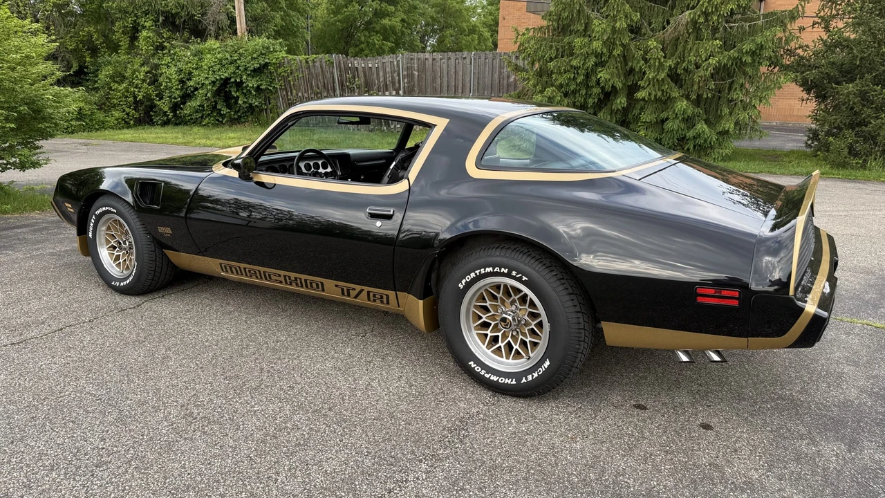 1979 Pontiac Firebird Trans Am 2nd Gen - Image 31 of 31