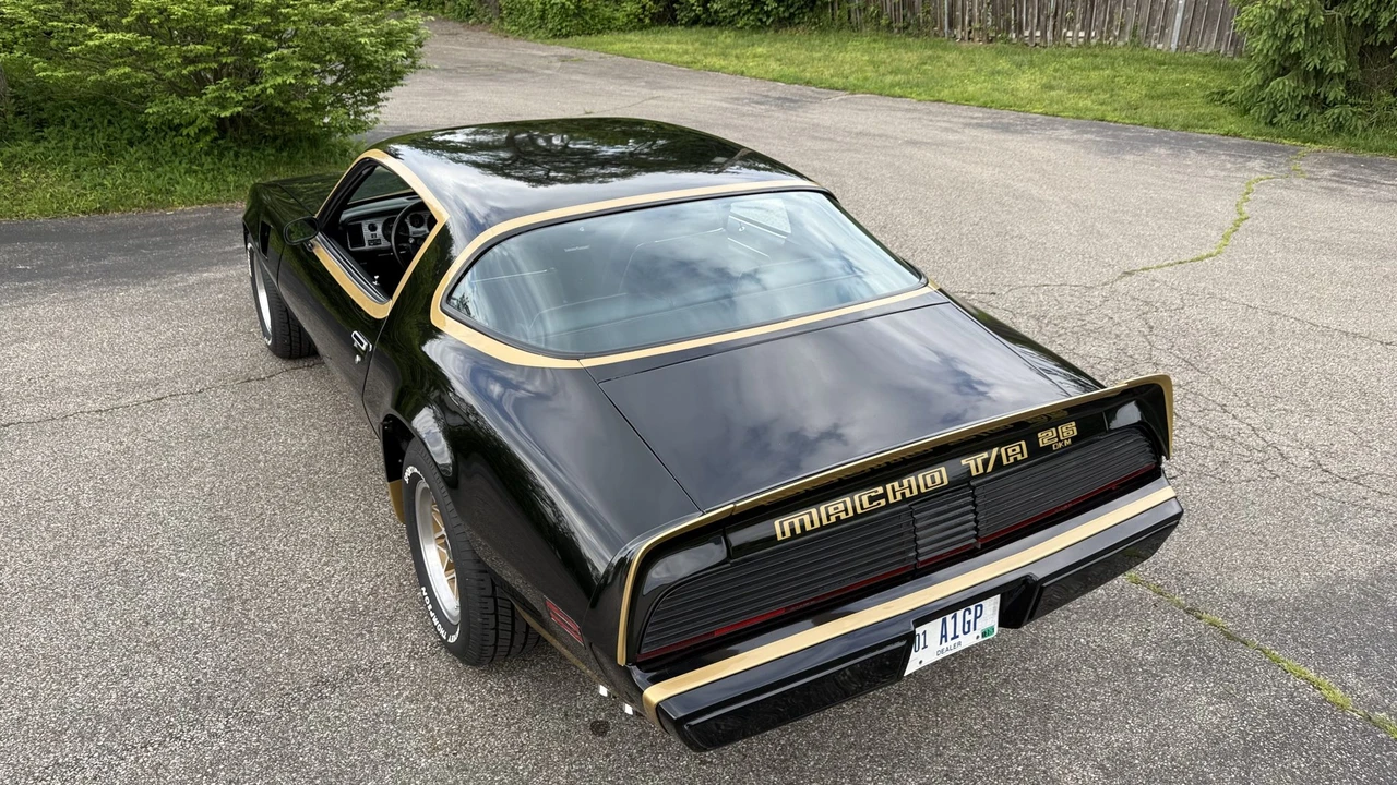 1979 Pontiac Firebird Trans Am 2nd Gen - Image 25 of 31