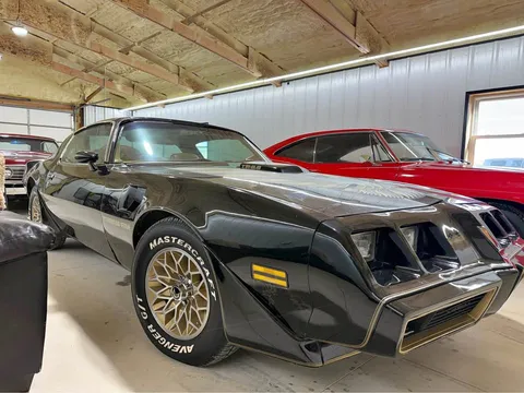 1979 Pontiac Firebird Trans Am