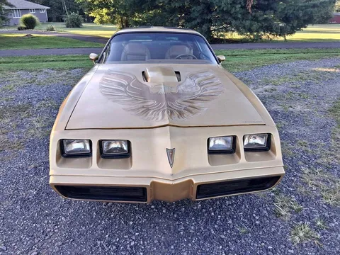 1979 Pontiac Firebird Trans Am