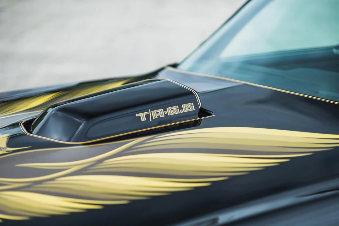1979 Pontiac Firebird Trans Am 2nd Gen - Image 9 of 31