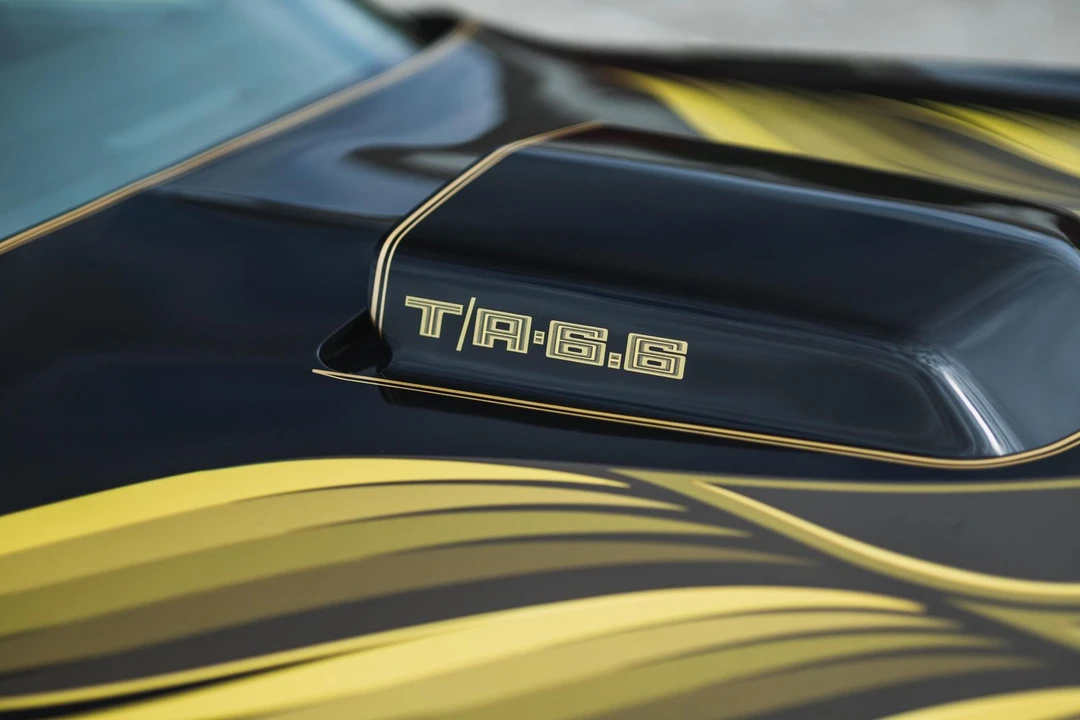 1979 Pontiac Firebird Trans Am 2nd Gen - Image 24 of 31