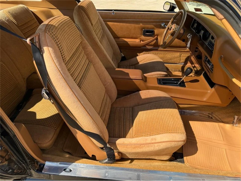 1979 Pontiac Firebird Trans Am 2nd Gen - Image 31 of 31
