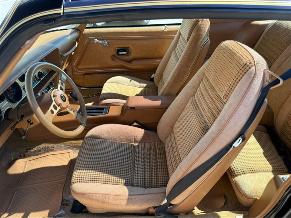 1979 Pontiac Firebird Trans Am 2nd Gen - Image 30 of 31