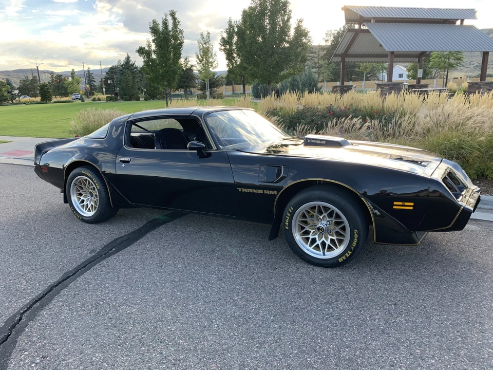1979 Pontiac Firebird Trans Am 2nd Gen - Image 31 of 31