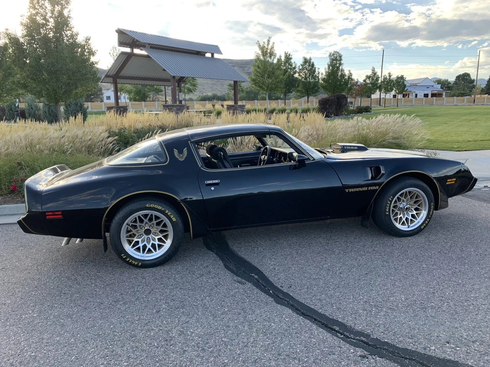 1979 Pontiac Firebird Trans Am 2nd Gen - Image 30 of 31