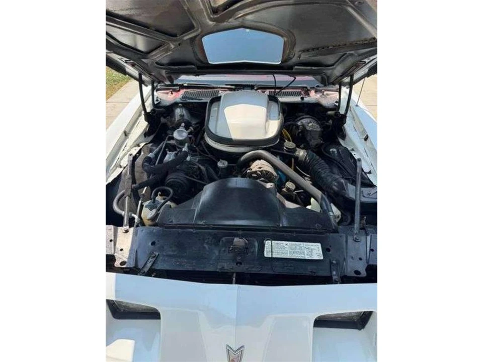 1979 Pontiac Firebird Trans Am 2nd Gen - Image 13 of 13