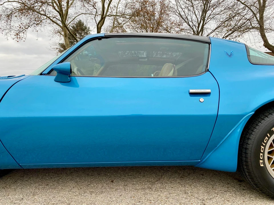 1979 Pontiac Firebird Trans Am 2nd Gen - Image 31 of 31