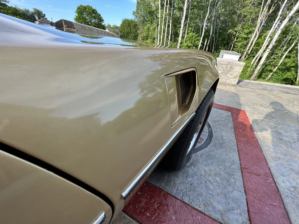 1979 Pontiac Firebird Trans Am 2nd Gen - Image 31 of 31