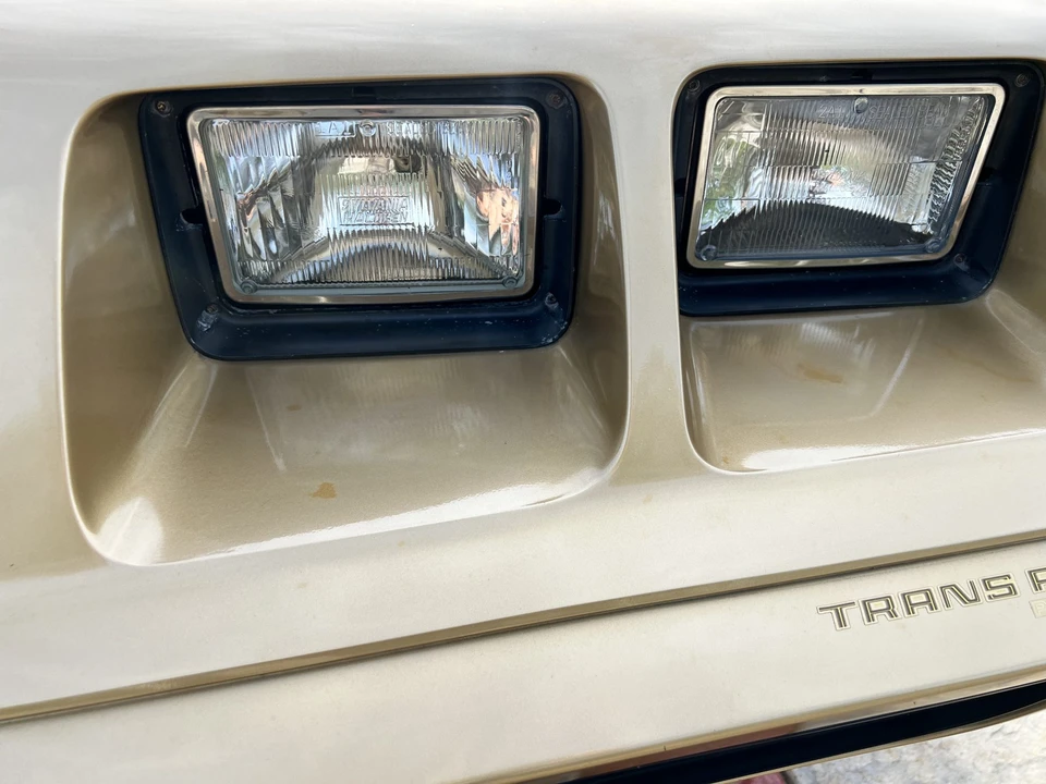 1979 Pontiac Firebird Trans Am 2nd Gen - Image 16 of 31