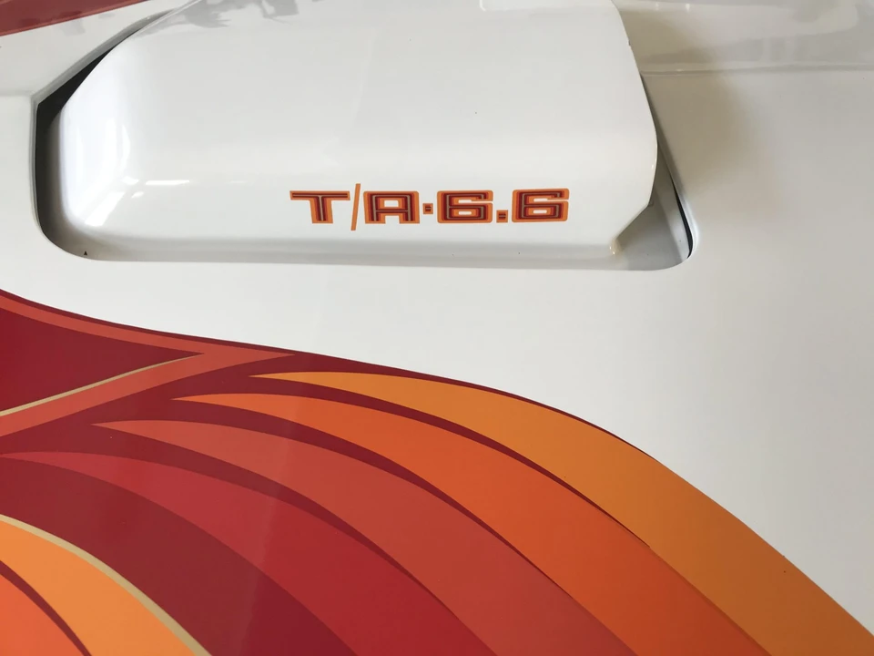 1979 Pontiac Firebird Trans Am 2nd Gen - Image 30 of 31