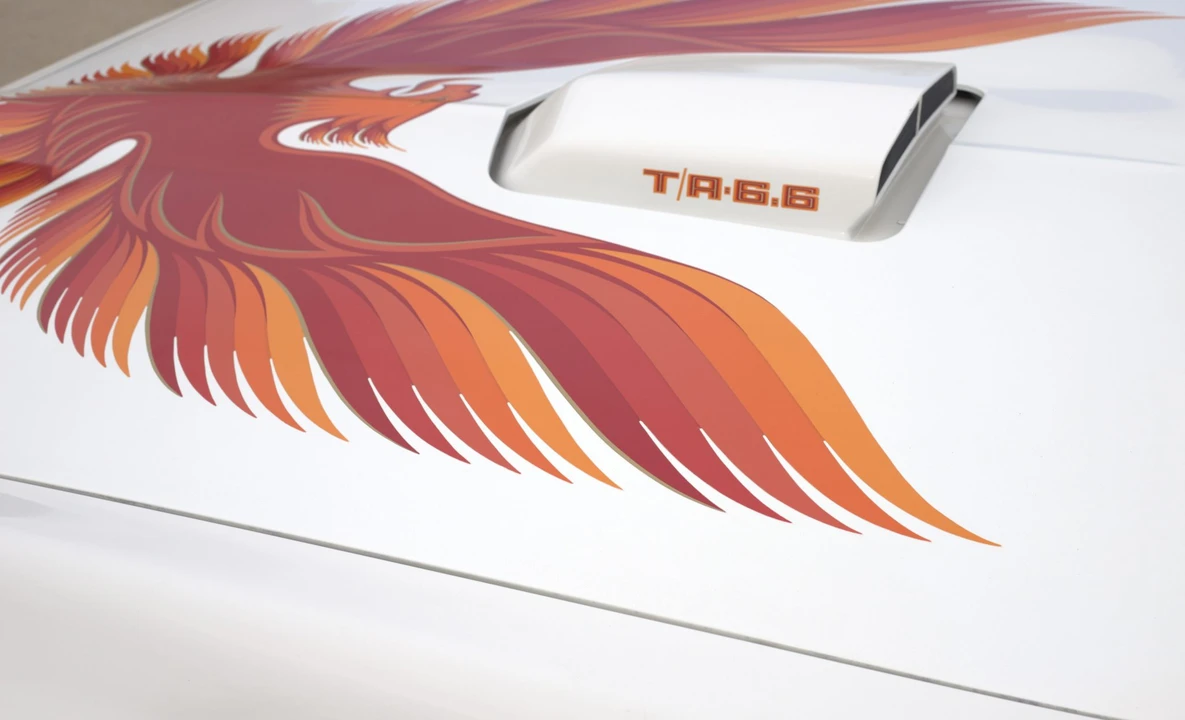 1979 Pontiac Firebird Trans Am 2nd Gen - Image 28 of 31