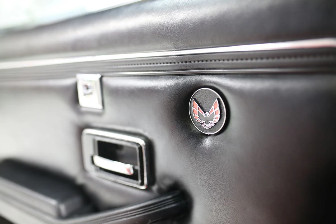 1979 Pontiac Firebird Trans Am 2nd Gen - Image 30 of 31