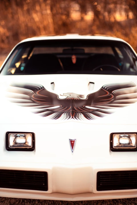 1979 Pontiac Firebird Trans Am 2nd Gen - Image 25 of 31