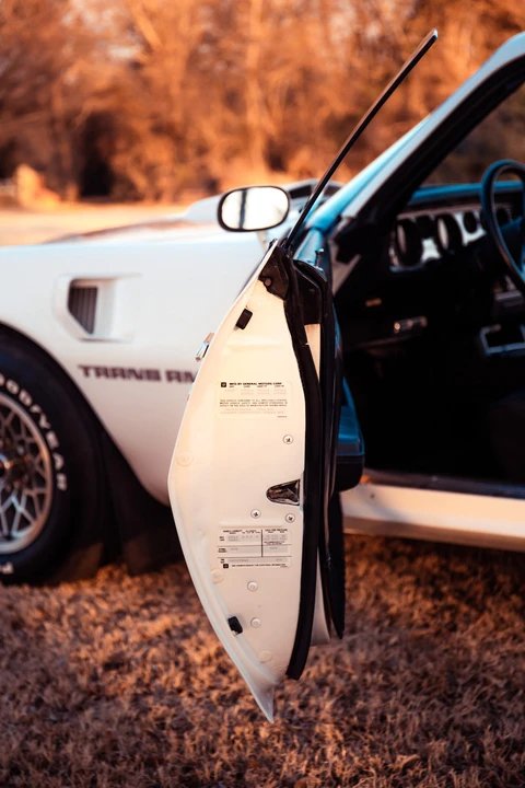 1979 Pontiac Firebird Trans Am 2nd Gen - Image 29 of 31