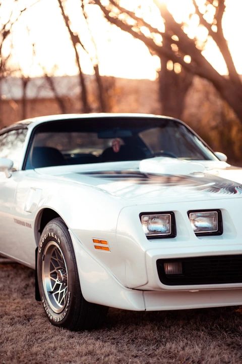 1979 Pontiac Firebird Trans Am 2nd Gen - Image 24 of 31