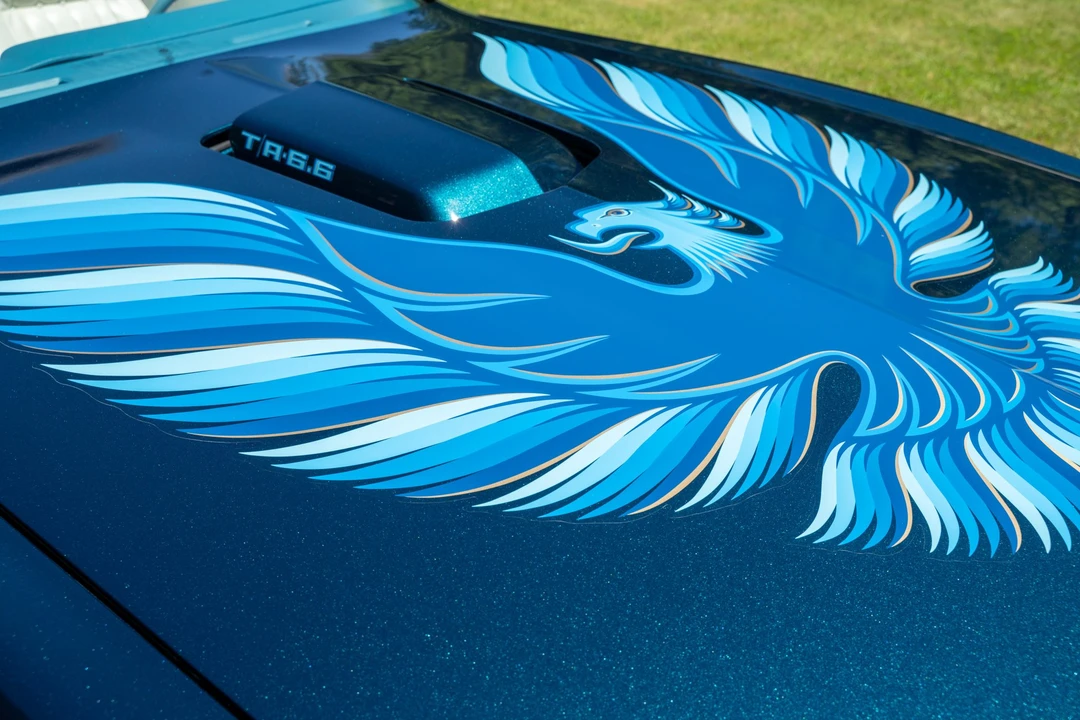 1979 Pontiac Firebird Trans Am 2nd Gen - Image 30 of 31