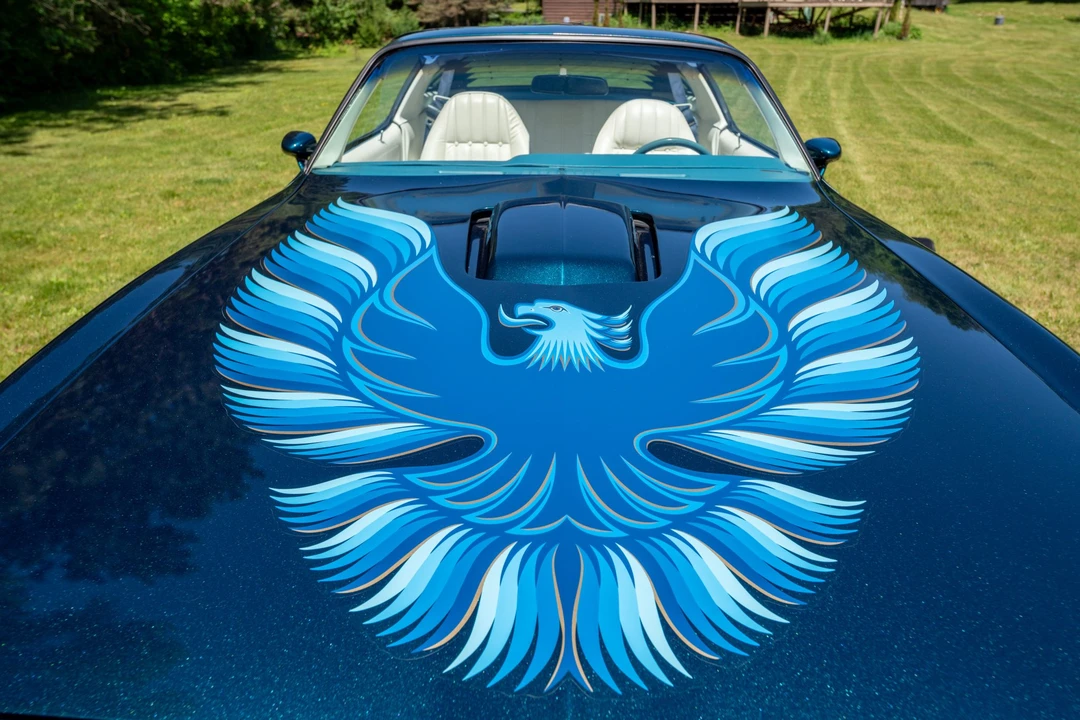 1979 Pontiac Firebird Trans Am 2nd Gen - Image 28 of 31