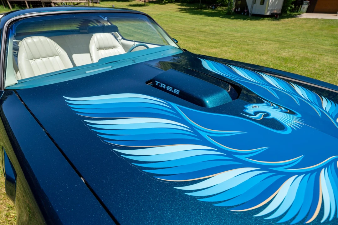 1979 Pontiac Firebird Trans Am 2nd Gen - Image 29 of 31