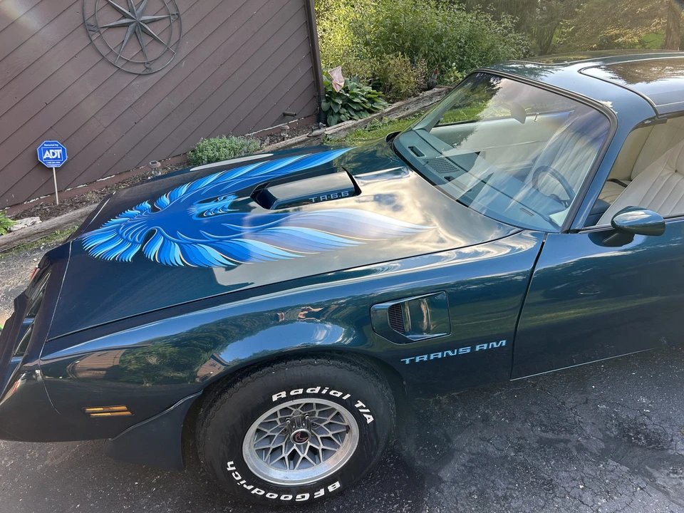1979 Pontiac Firebird Trans Am 2nd Gen - Image 26 of 31